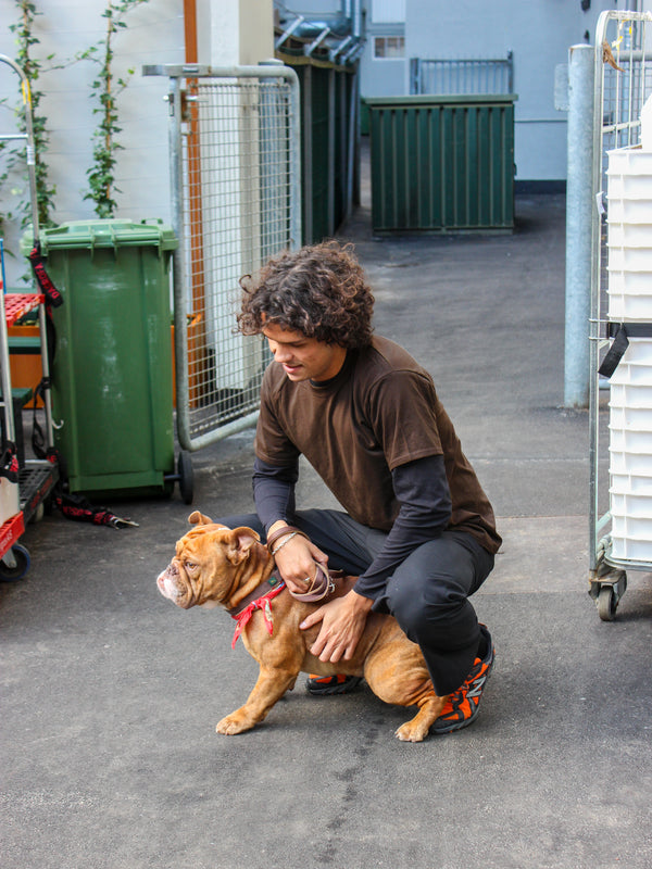 Milton er 189 cm høj og bruger størrelse L. | mørkebrun